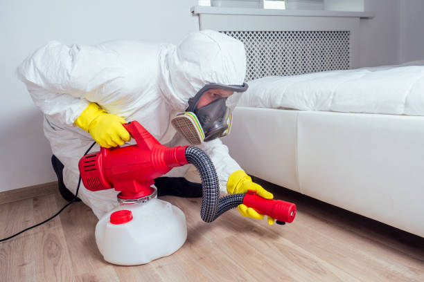 Professional Pest Control in Timberlane, IL